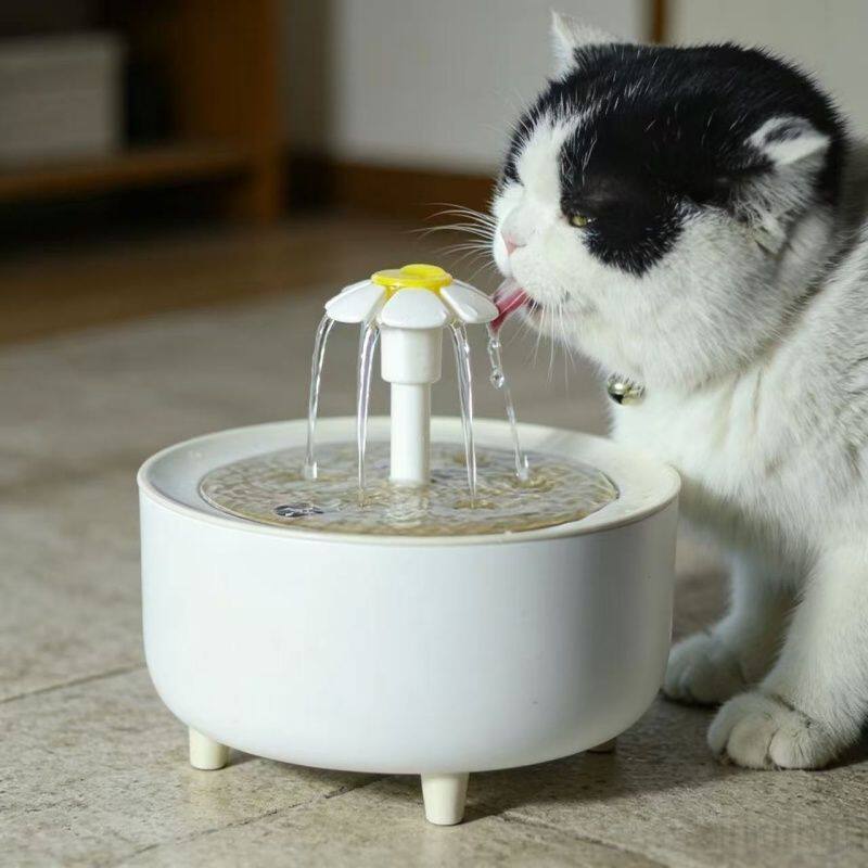 猫咪饮水机流动静音宠物