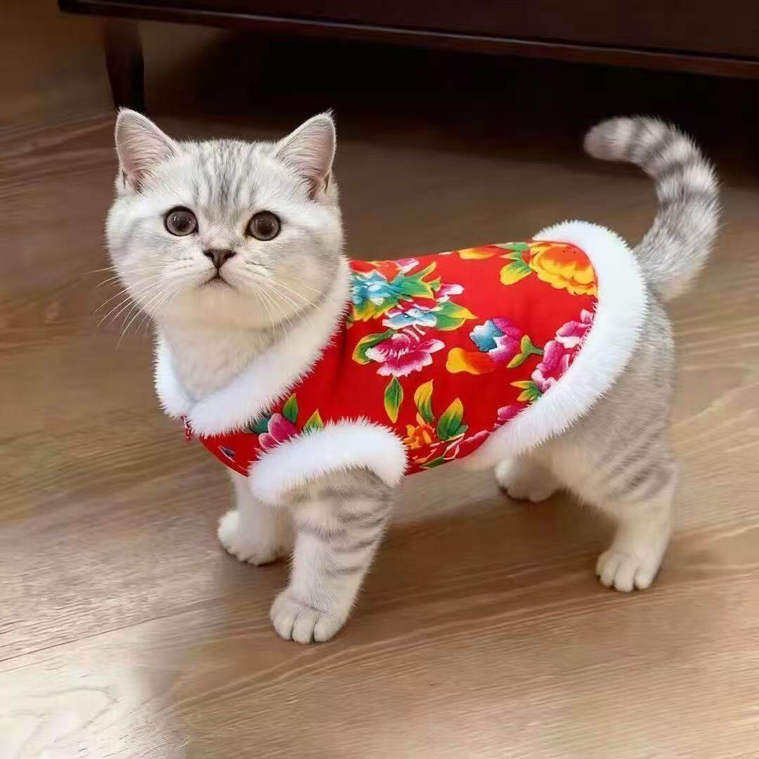 秋冬款猫咪狗狗新款中国