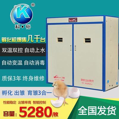 供应贵妃鸡孵化机鸭蛋孵化器鸽子孵化设备狮头鹅蛋孵化机
