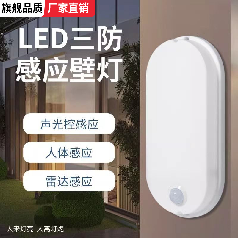 220v人体感应壁灯户外防水智能