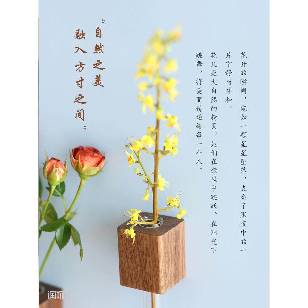 壁挂式水培花装置冰箱贴纸绿色植物装饰木制水插花桌面装饰透明玻