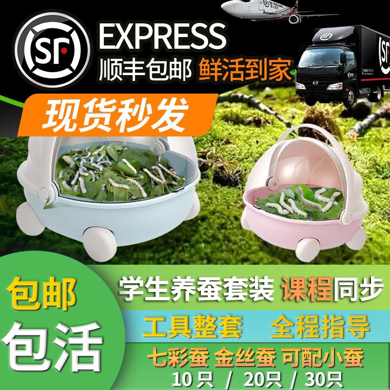 蚕宝宝太空养育仓桑叶新鲜七彩活体蚕种蚕卵饲养盒箱学生养蚕套装