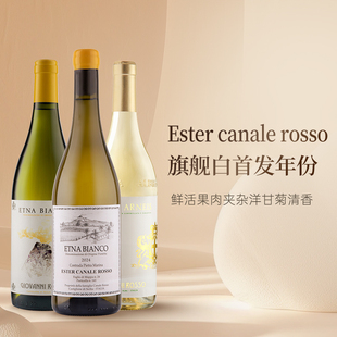 意大利进口皮埃蒙特大区乔瓦尼酒庄干白葡萄酒
