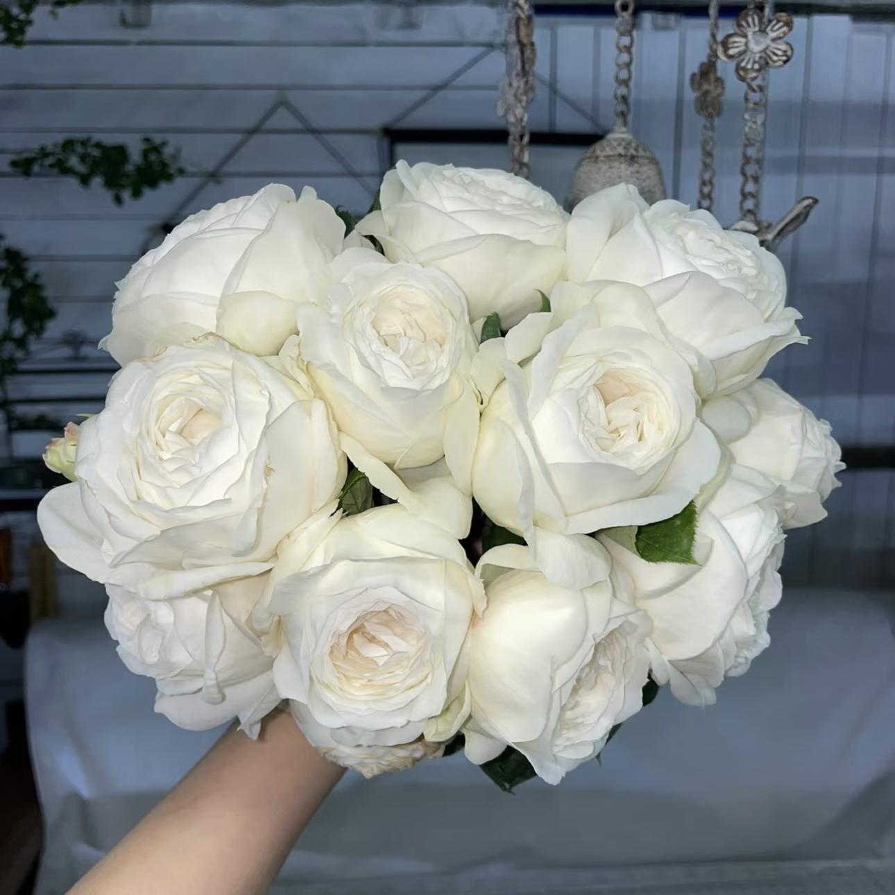 婚礼之路  月季玫瑰花苗白色大花浓香盆栽 阳台庭院花卉