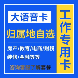 工作电话卡超长通话纯打电话卡教育房产金融招聘专用卡归属地可选