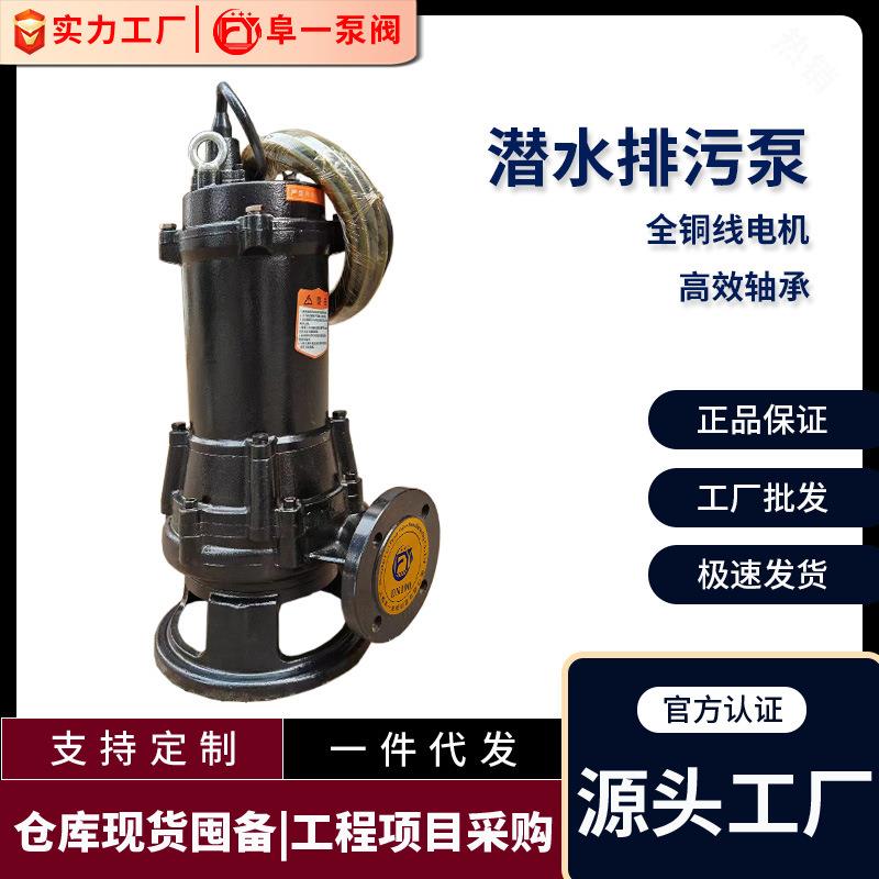 QW/WQ潜污泵增压水泵三相电机机械密封排污泵工业污水提升污水泵