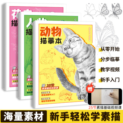花卉动物人物 描摹本 基础素描入门 赠视频教学 临摹画集 生活速写教程 画画自学 铅笔画针管笔钢笔 描红画本