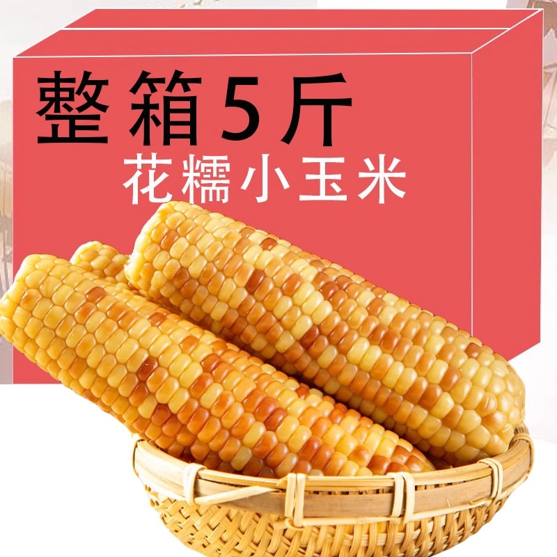 新鲜花糯玉米小黏玉米棒即食代餐甜糯健身健康真空装云南西双版纳