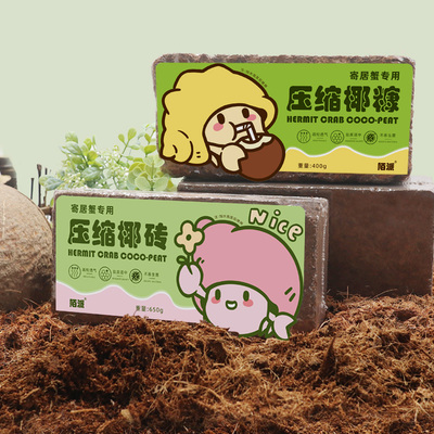 寄居蟹新手垫材料～椰砖糠