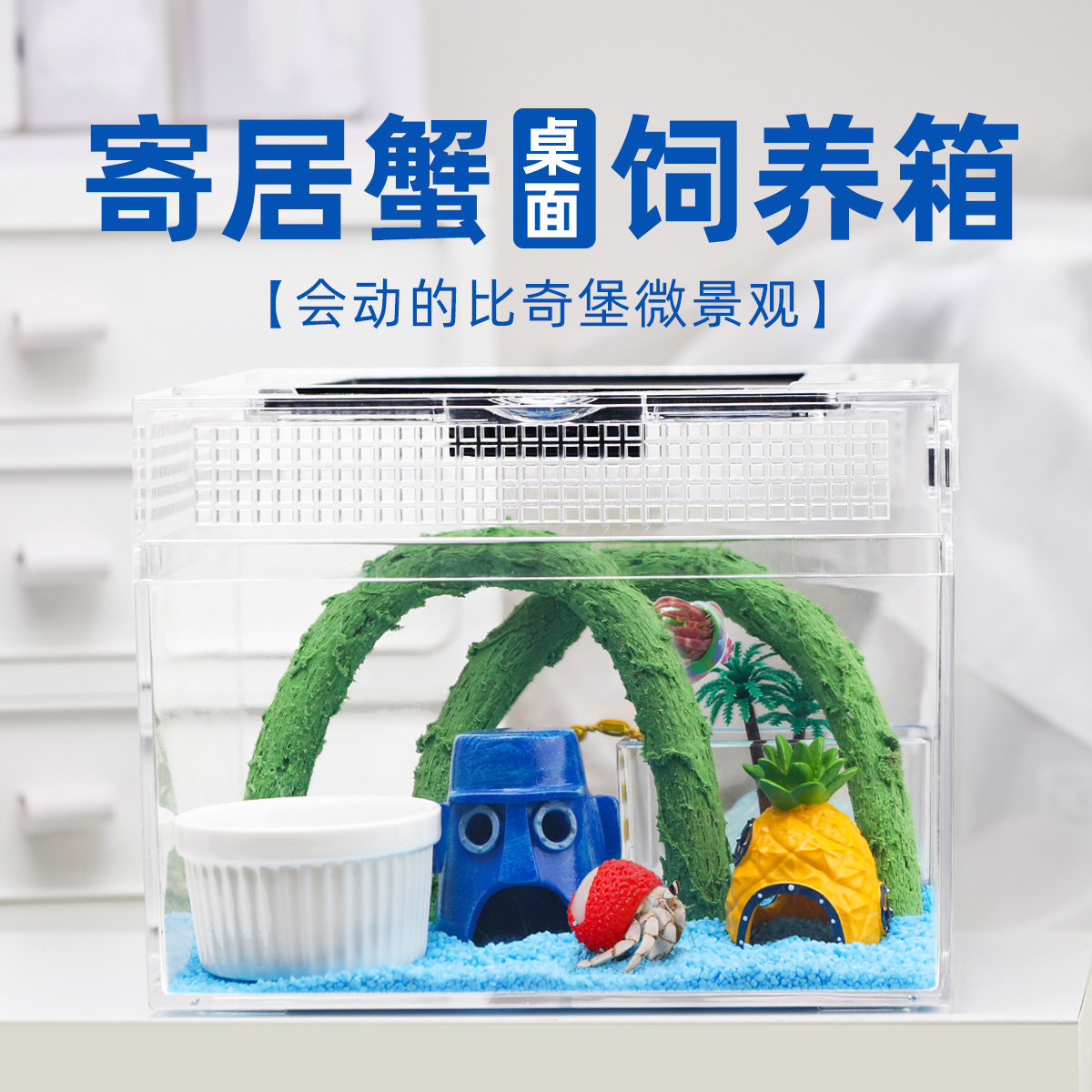 寄居蟹新手饲养箱套餐～桌面高透饲养缸防摔新手宠物饲养套餐礼物