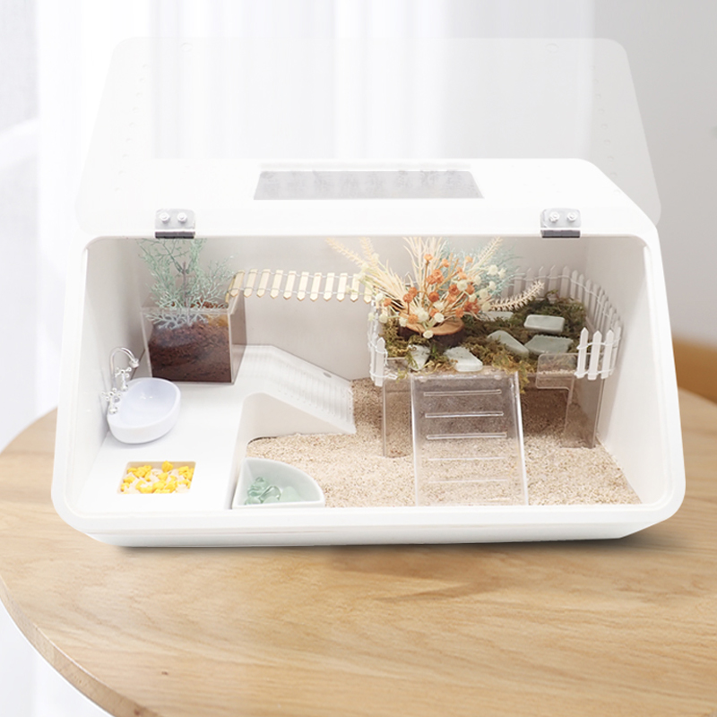 寄居蟹风格化饲养箱套餐大