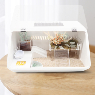 造景缸大号儿童礼物 大斜面新手套餐套装 寄居蟹风格 化饲养箱套餐