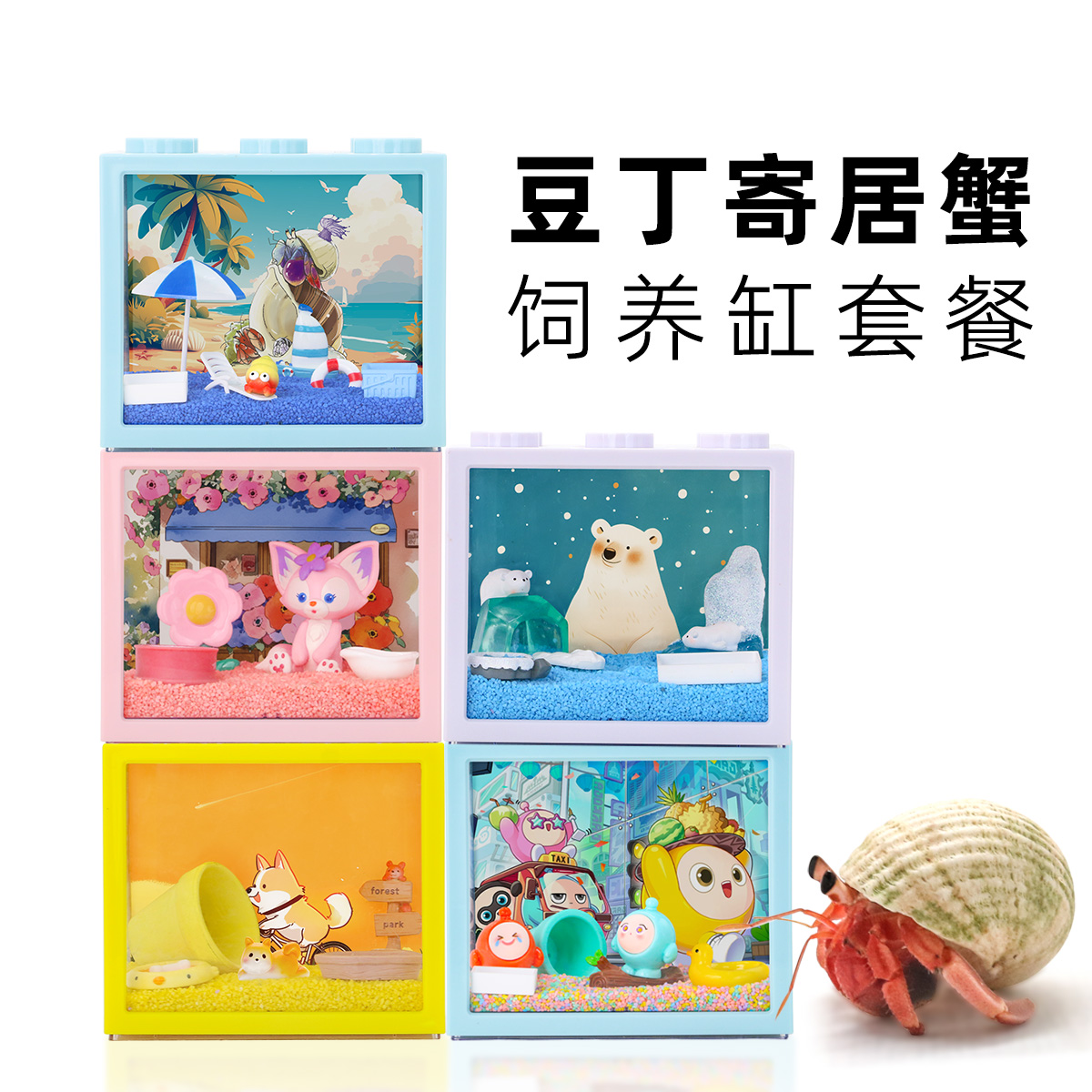 小豆丁寄居蟹饲养套装餐～