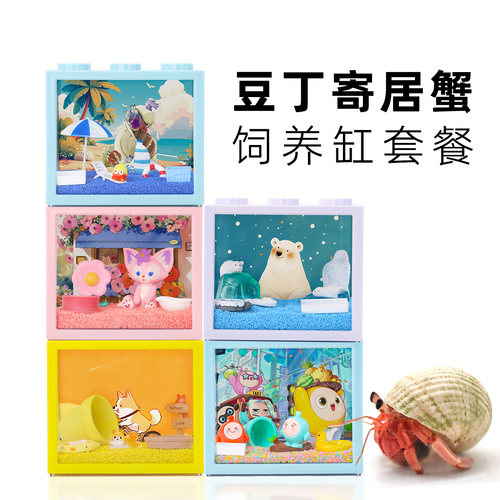 小豆丁寄居蟹饲养套装餐～