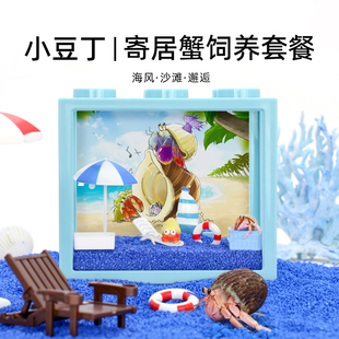 陌派可爱豆丁寄居蟹饲养套装套餐～饲养盒箱办公桌面萌宠儿童礼物