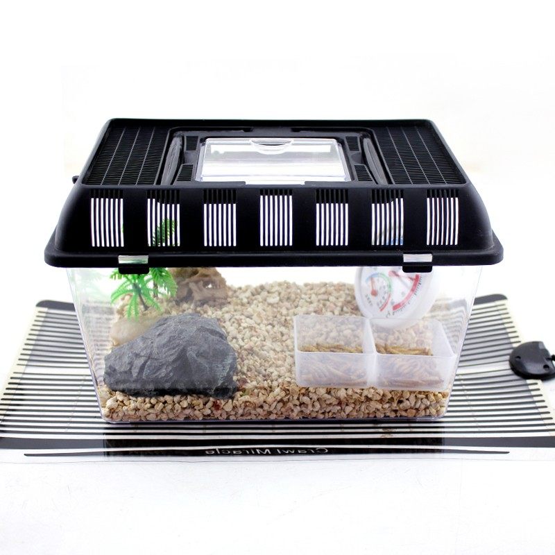 极速鱼缸a加热垫热带鱼小型控温恒温专用爬宠斗鱼低水位缸外加热,宠物/宠物食品及用品,加热/保温设备,淘宝优惠券,粉丝福利购,淘宝优惠卷