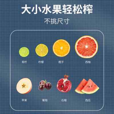 极速厂促橙汁机小型便携式家用手动榨汁机渣N汁分离西瓜榨汁压汁