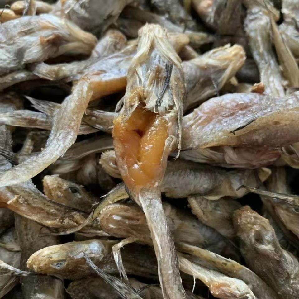 极速咸鱼干狗鱼大头鱼狗光鱼油A光鱼海鲶鱼鱼干胖头鱼咕咚鱼狗刚