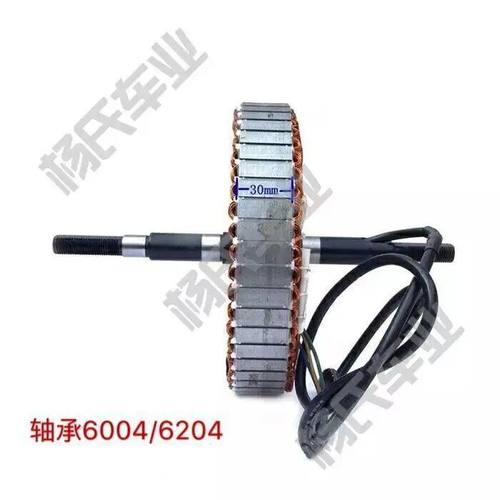 极速电动车电摩10寸电机转子定子线圈35B 27 30磁钢48V60V72V(不