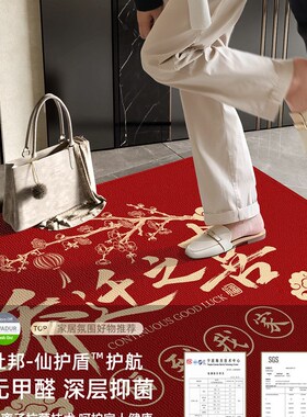 新品入户门地垫门口垫子红色进z门脚垫家用新款可裁剪除尘防滑耐