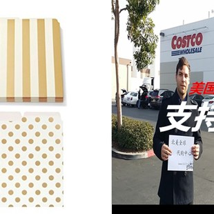 New York Stripe Kate Gold Spaqde Folders 极速Bundle File