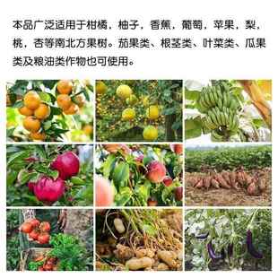 极速中化99%磷酸二氢钾叶面x肥西瓜水溶肥料果树农用复合肥大包装