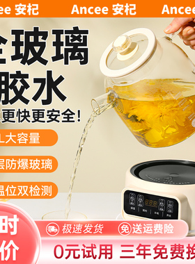 【0胶水】养生壶纯玻璃2025新款炖煮一体全玻璃多功能花茶煮茶壶