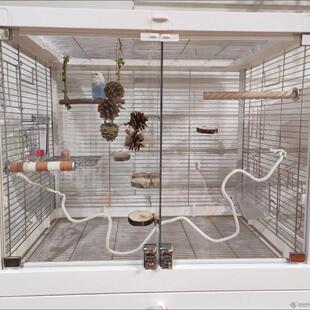 达洋B6045/B6047SS鹦鹉鸟笼专用隔离板透明亚克力隔板隔断防打架