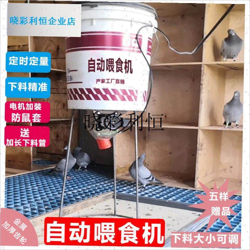 鸽子用品自动喂食器信鸽自动食槽喂食机定M时远程下料养鸡鸭鹅包l