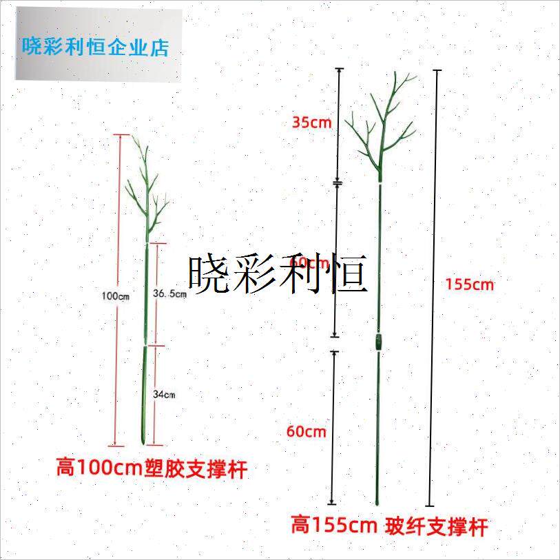 文竹支撑架植物固定防倒伏龟背A竹支撑杆绿萝爬藤花架支架园艺造l