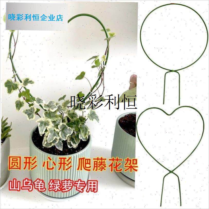 室内爱心形铁艺花架山乌龟v绿萝爬藤架子绿植攀爬园艺圆形造型支l