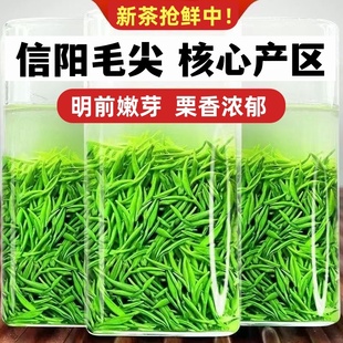 毛尖绿茶信阳毛尖2025新茶明前茶高山嫩芽250g浓香耐泡型春茶叶