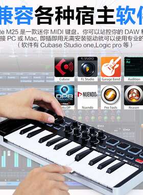 山逊SAMSON Graphite M25迷你25键MIDI键盘 专业控制器 兼容IPAD