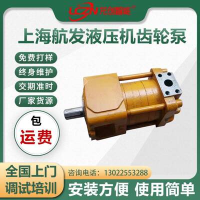 上海航发啮合齿轮机床油泵剪板机齿轮泵折弯机齿轮泵力度大节