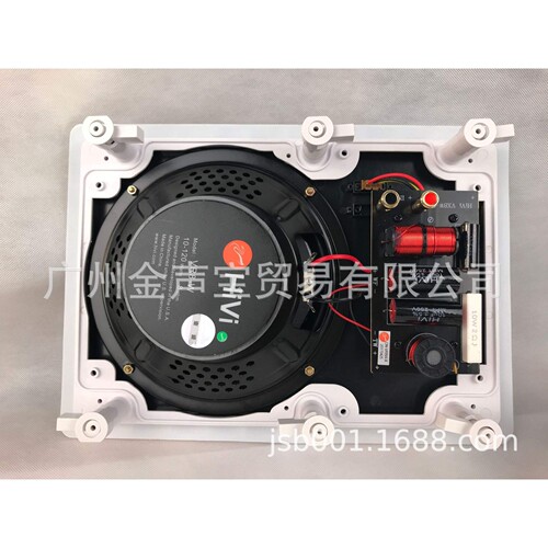 Hivi/惠威 VR6-W定阻吸顶音响吊顶喇叭天花背景音乐环绕家用音箱
