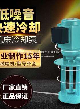 DB-12水泵40W机床冷却泵90W车床泵AB-25/DB-100机床油泵三相电泵