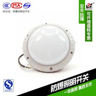 免维护LED三防灯上海新黎明国标FZD1300 20W~80W