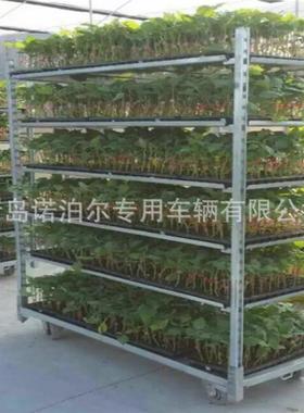 可移动育苗车 花架车grow seedings 荷兰花车 大棚育苗车