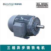 MOTOR 立式 超高能效NEMA电机YE4 TECHTOP IE4 二极能效 卧式