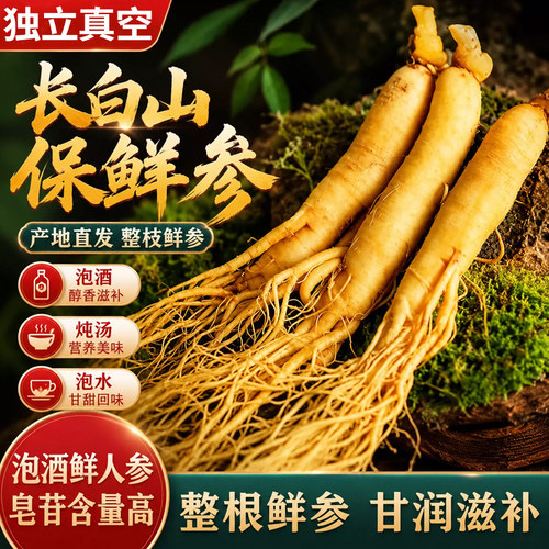 鲜人参东北吉林保鲜参白参中药材煲汤非野山参新鲜人参泡酒专用