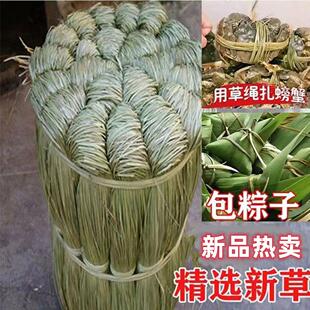 香草马莲草咸水草60斤粽绳长绑粽子扎螃蟹草绳产地收购