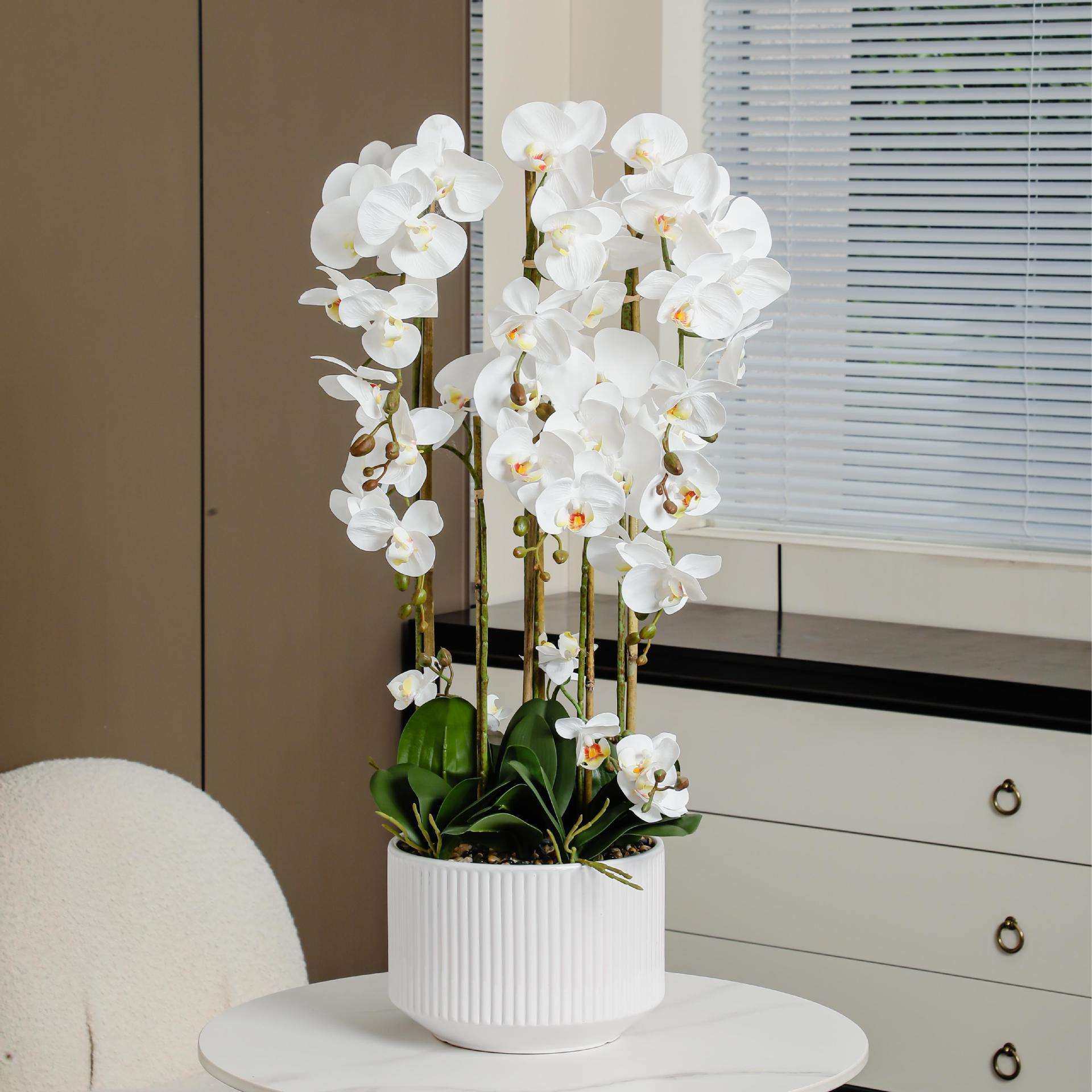 蝴蝶兰仿真花盆栽带花办公桌前台办公室摆件高级感轻奢装饰盆景,鲜花速递/花卉仿真/绿植园艺,割草机/草坪机,淘宝优惠券,粉丝福利购,淘宝优惠卷