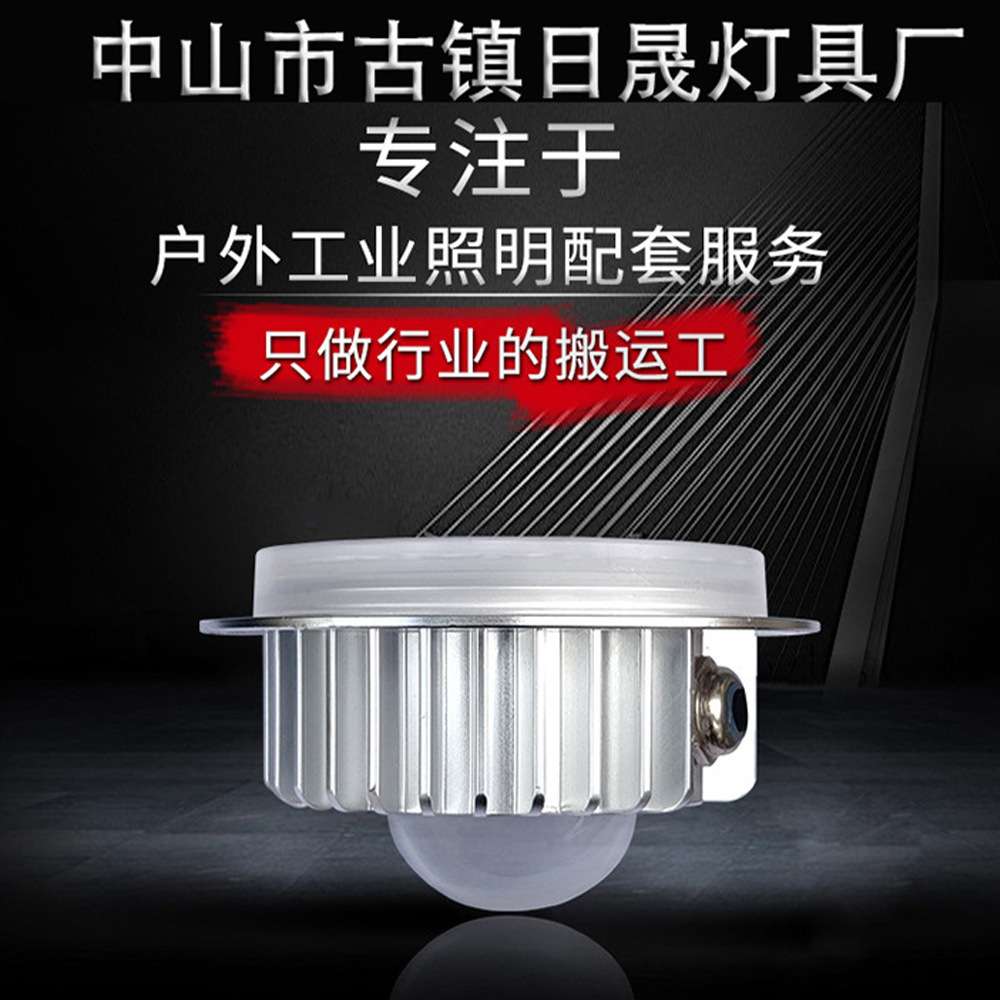 LED双面发光圆形模组光源灯笼光源庭院灯景观灯壁灯专用40W