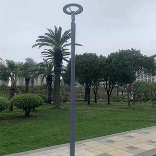 LED庭院灯生产厂家直销路灯发光灯杆方向盘圆灯头4米LED庭院灯50W