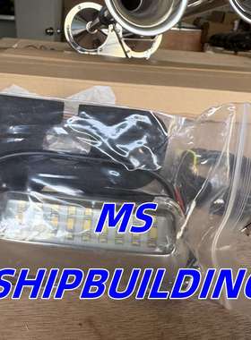 E019002-WB 24V IP68白色蓝色双色不锈钢防水游艇船用LED水下灯船