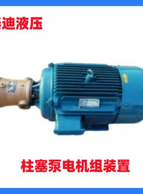 10 16 25 40 63 80 160 250MCY14-1B柱塞泵电机组 压力31.5MPa