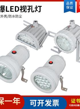 LED防爆视孔灯 BSD-3W5W10W20W延时反应釜探照灯防爆带开关内视灯