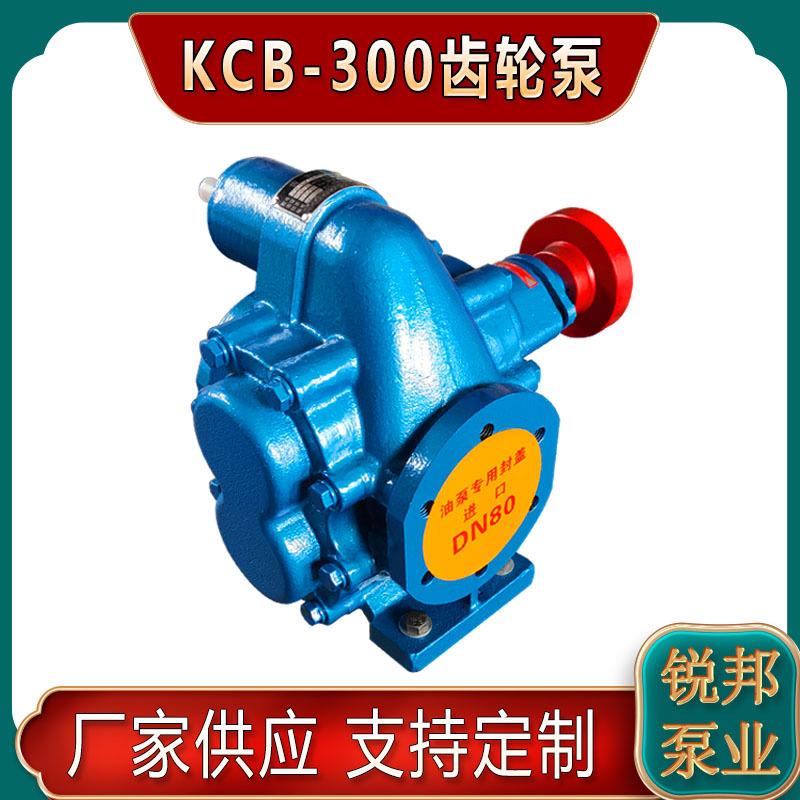铸铁KCB300齿轮泵 植物油电动输送泵 汽柴油抽油泵机油润滑油
