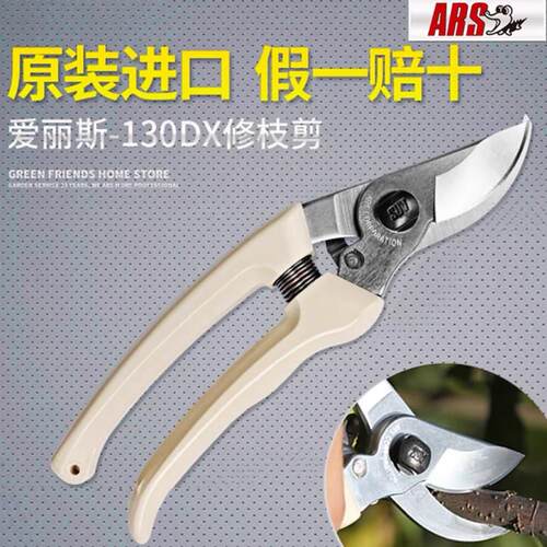 丽斯剪刀整枝果树进口正品刀手修枝剪剪ARS130DX日本园艺修枝剪林