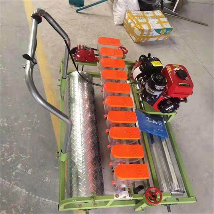 洋葱小青菜手推蔬菜播种机柴胡板蓝根种植机大棚种菜育苗点播机,农机/农具/农膜,播种栽苗器/地膜机,淘宝优惠券,粉丝福利购,淘宝优惠卷